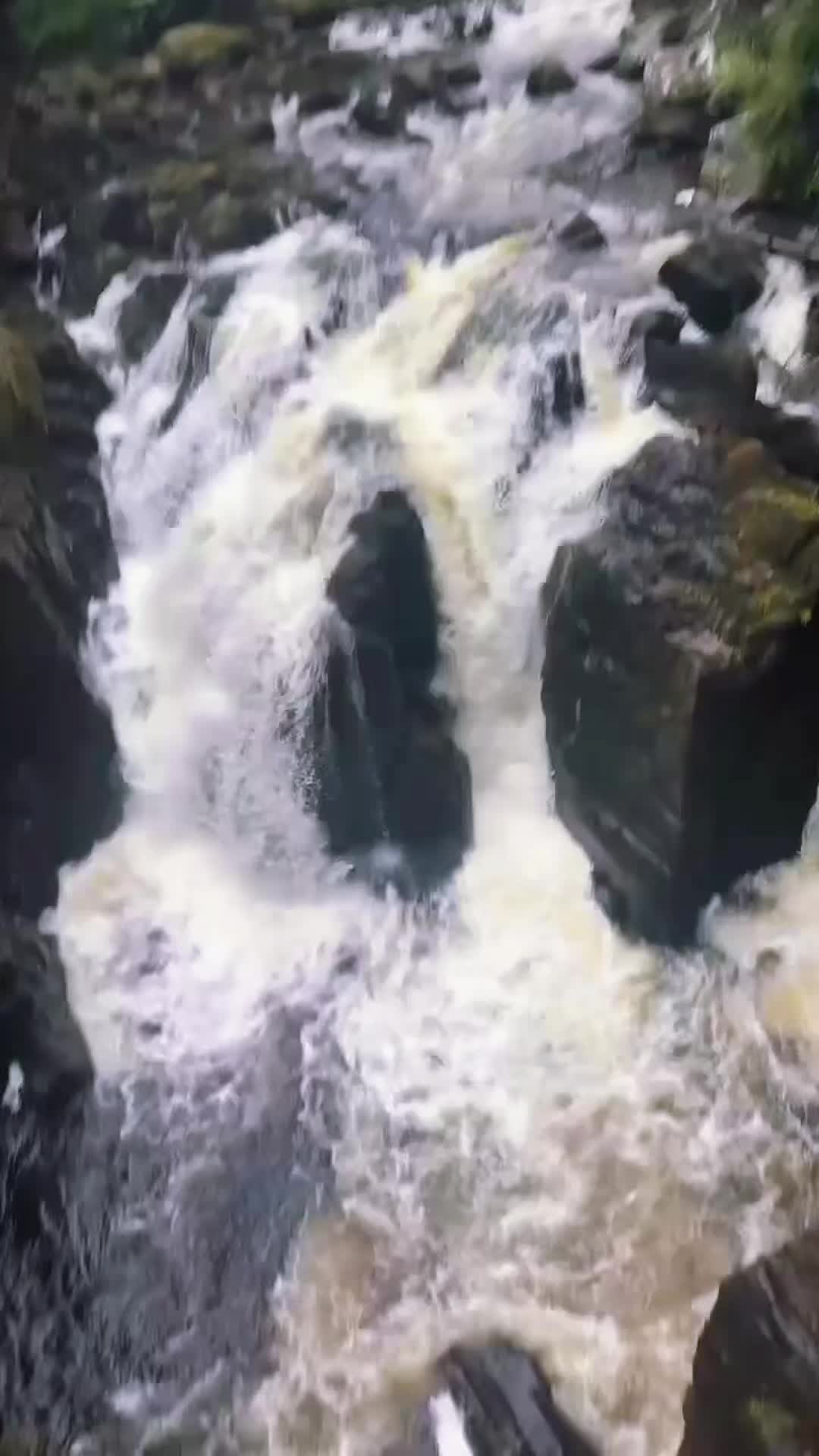 @DemiLeigh