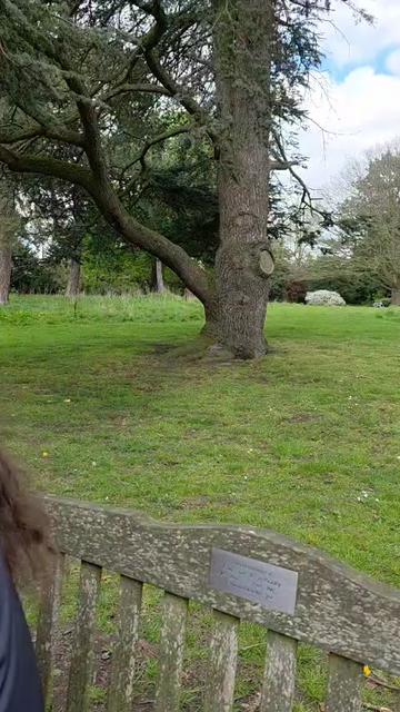 @s_t_a_c_y__l_o_u