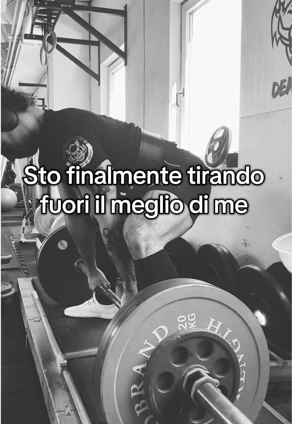 @grillo💫