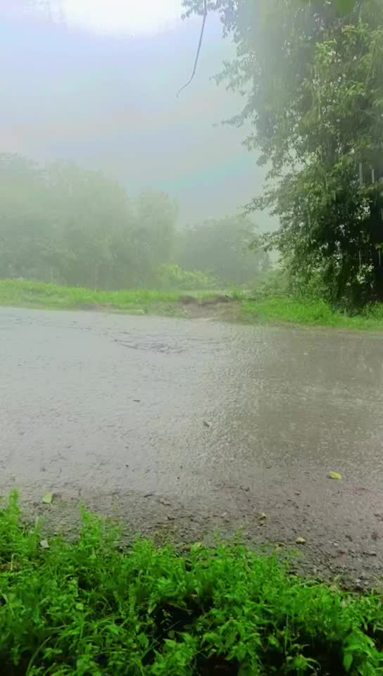 @❤️🩹Noor shazadii❤️🩹