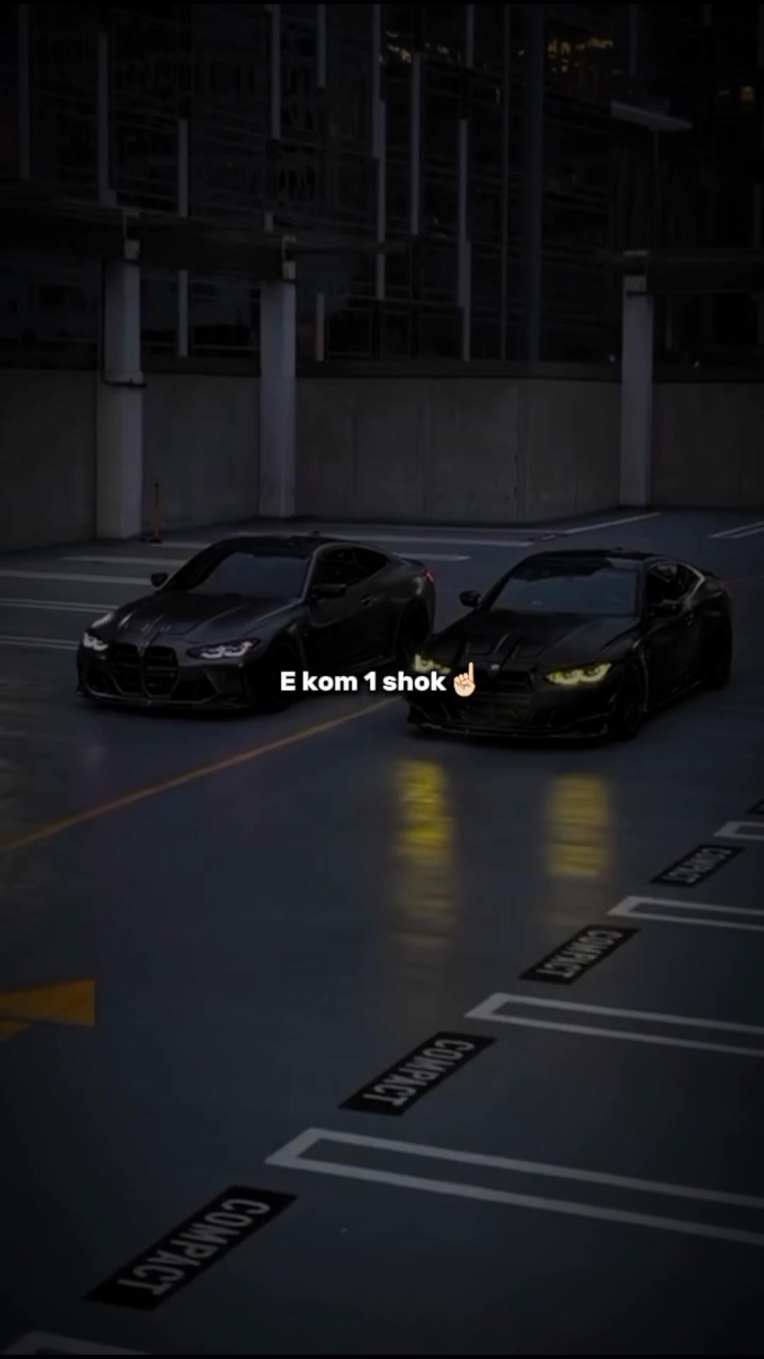 @Seldi🤍🦍