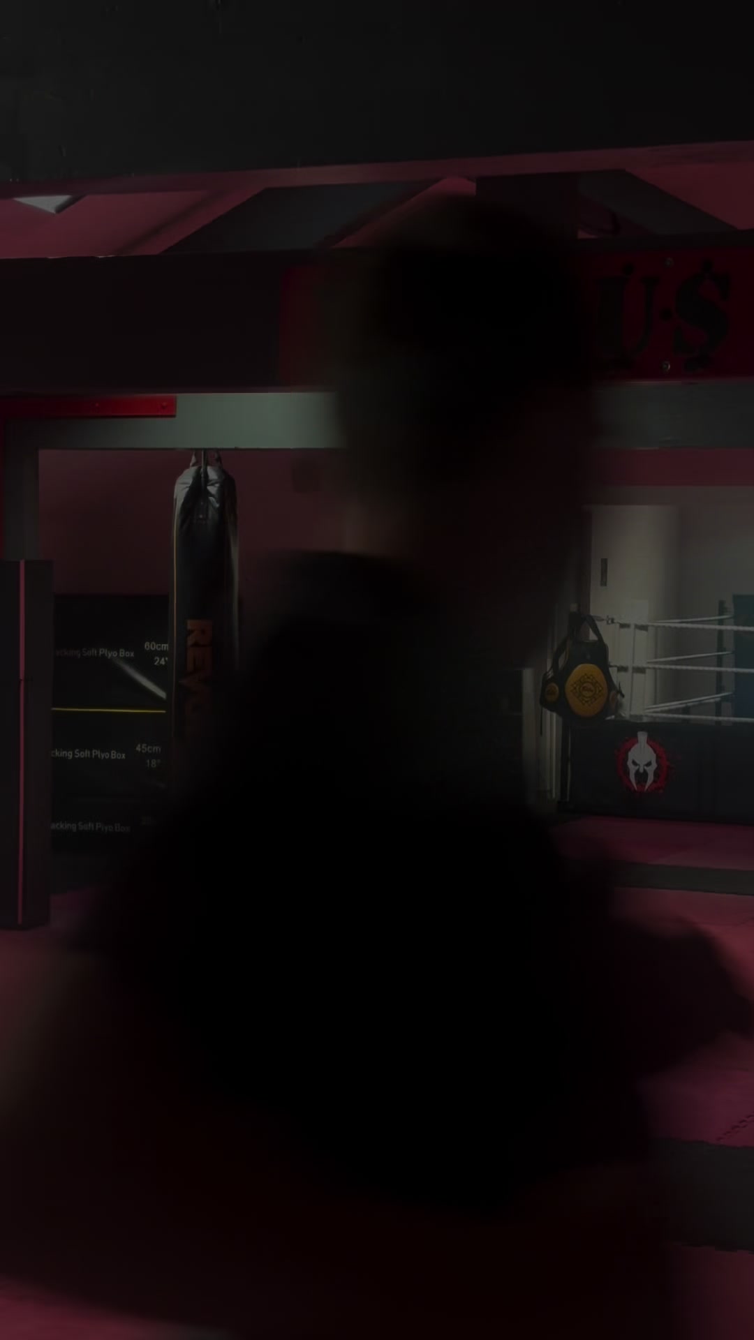 @Virtus kickboxing