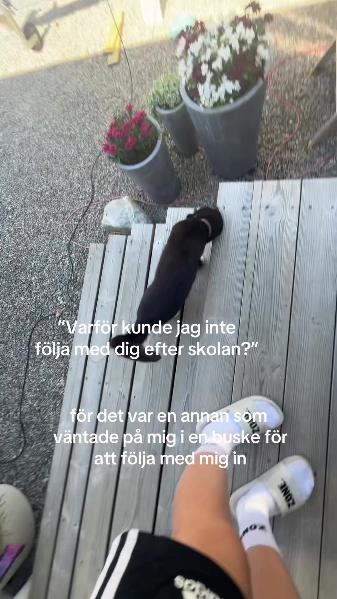@🫡🫡