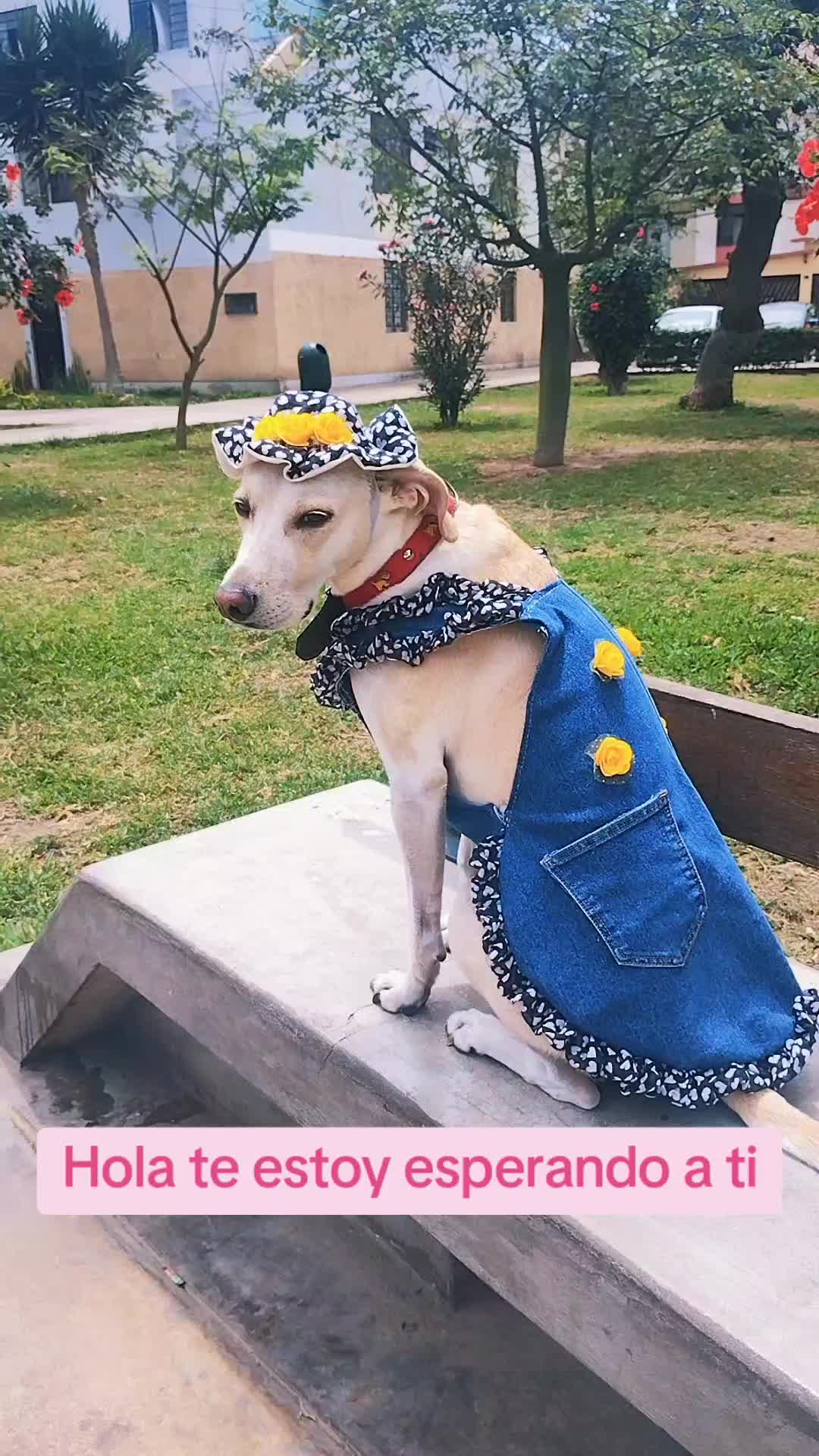 @winnie ❤🦮