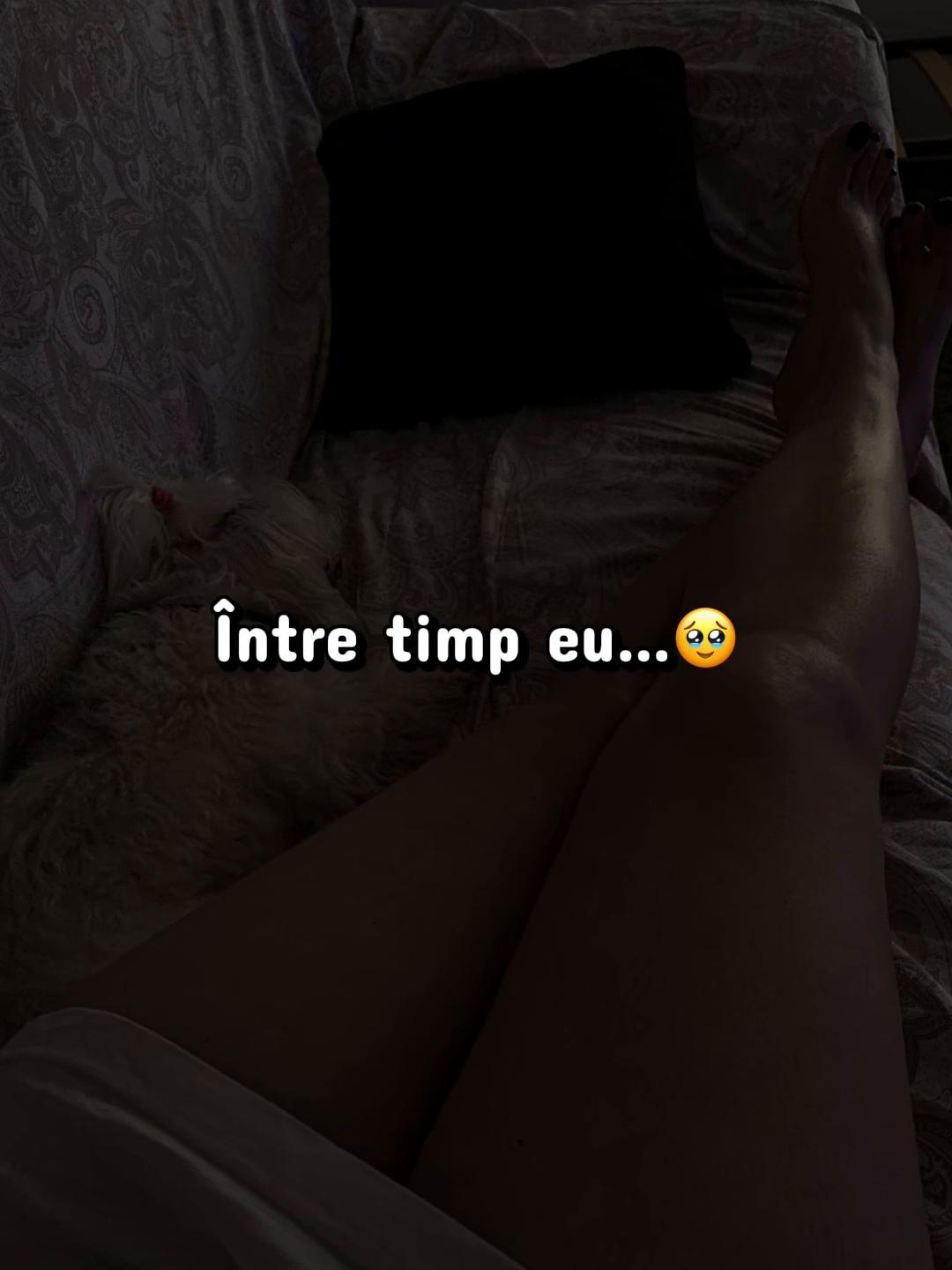 @๐ ๐ ๐ ๐ ๐ ๐ ๐ ๐ฑโ๏ธ