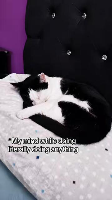 @Sofi ♡