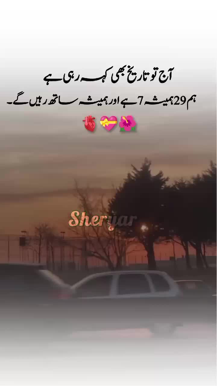 @sheryar