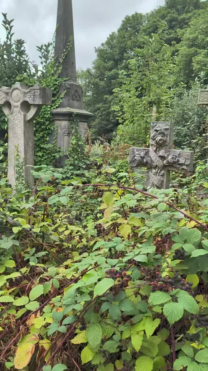 @GraveSnape🪦