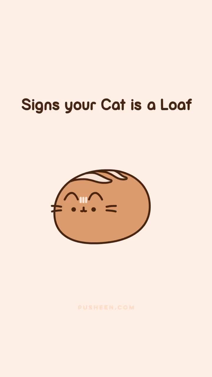 @kaylee