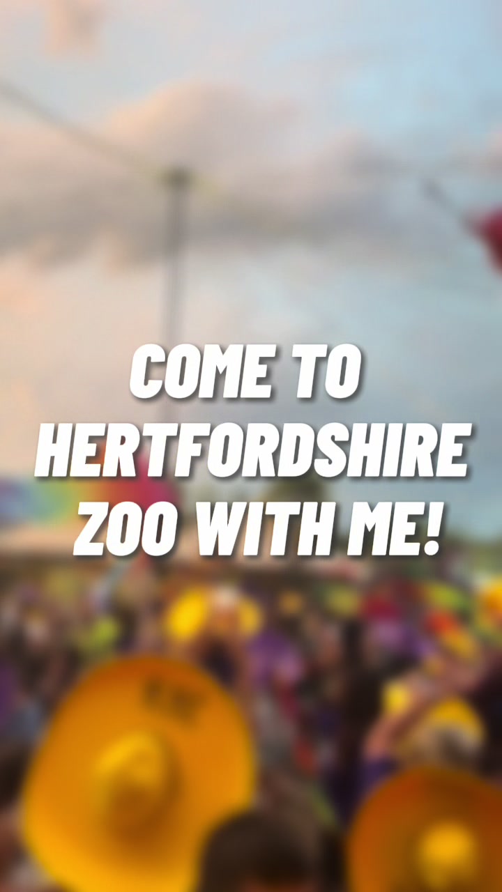 @Themeparkzone