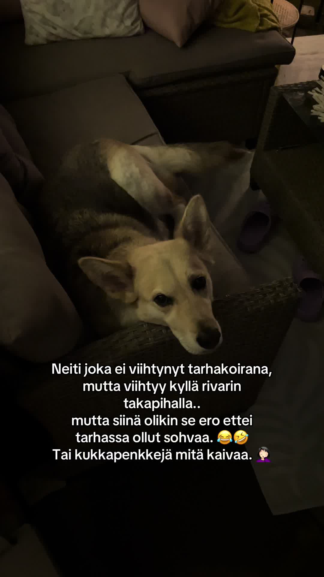 @Mirtsu