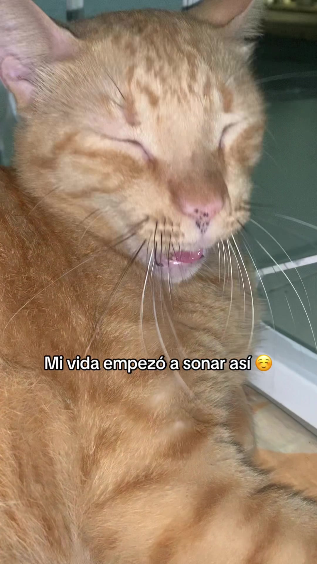 @Francis