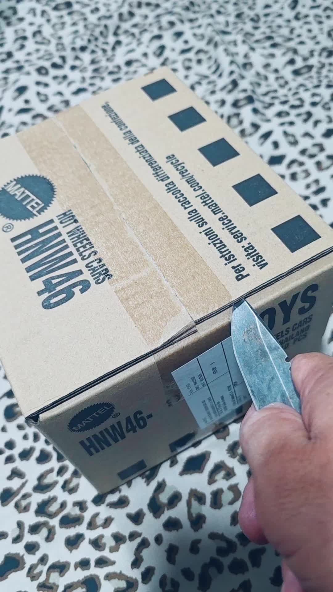 @the_hot_wheels_cartel