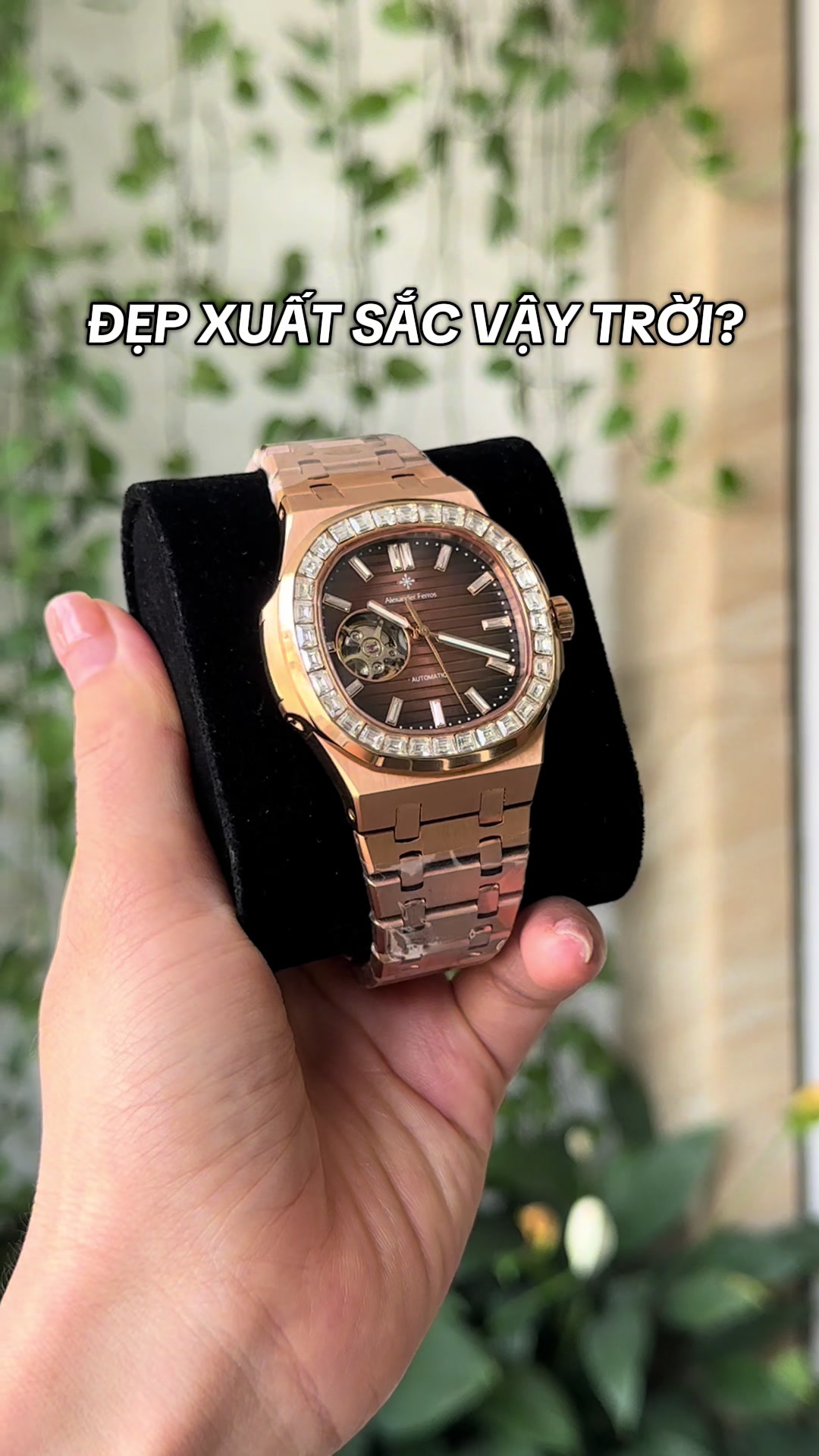@Alexander Ferros Việt Nam