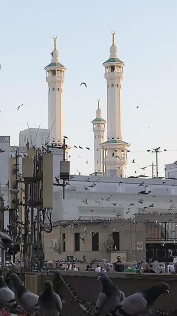 @Makkha.Noor