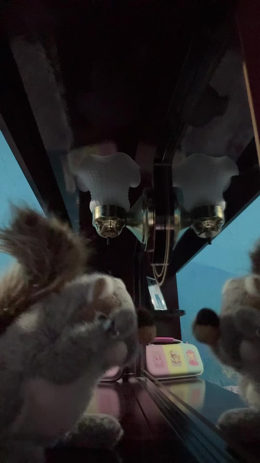 @Apple squirrel