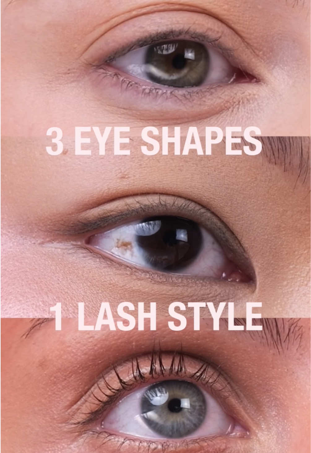 @TATTI LASHES