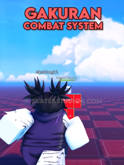 @skaterstudios.com