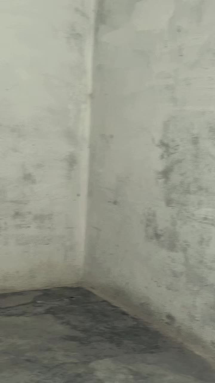 @✰𝐀𝐦𝐛𝐞𝐫 𝐥𝐢𝐯𝐞 05✰