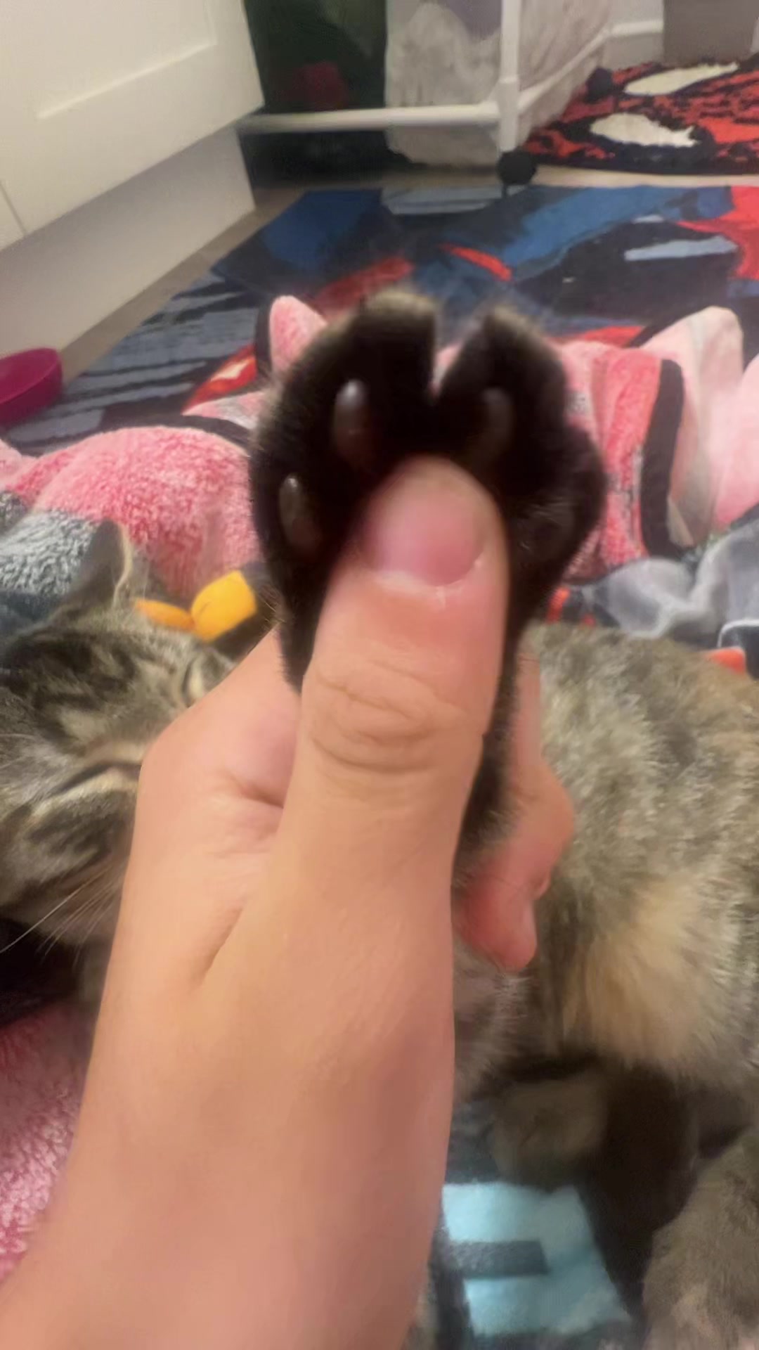 @kayluhhh