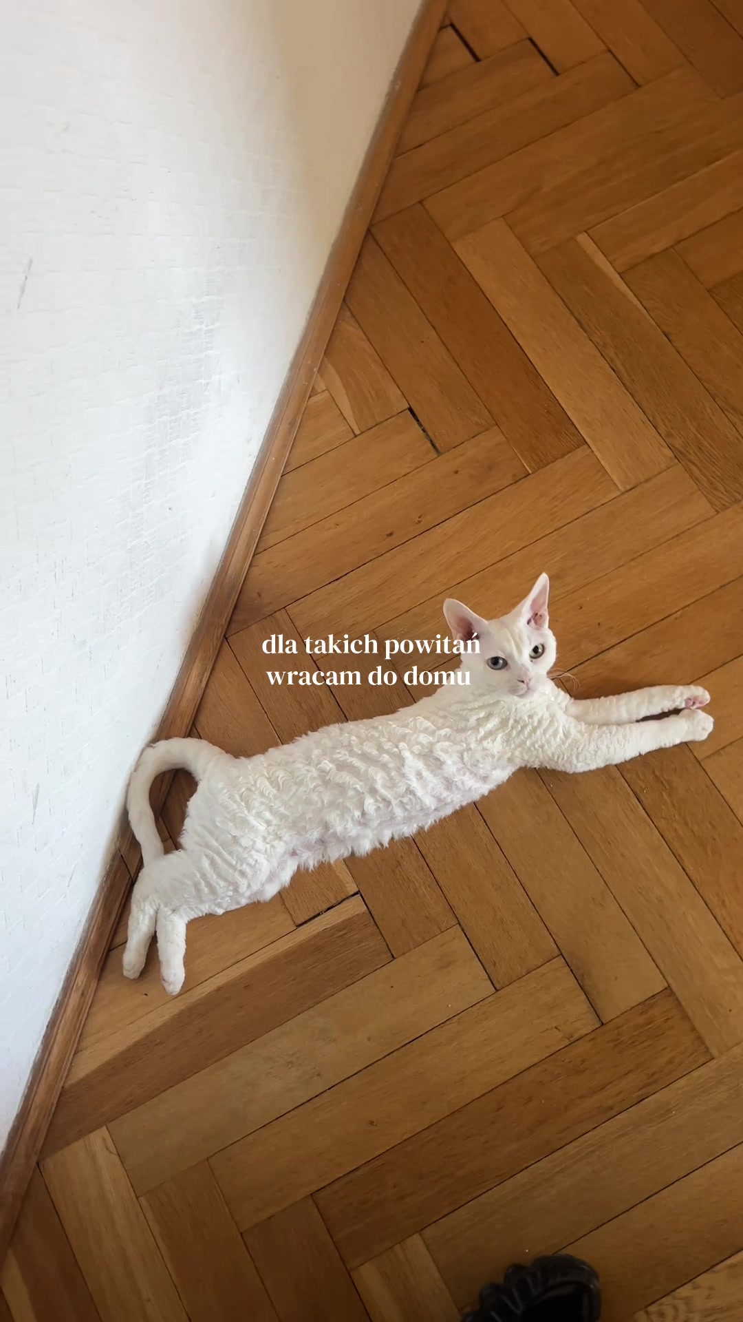 @marcelina ˚୨୧⋆。