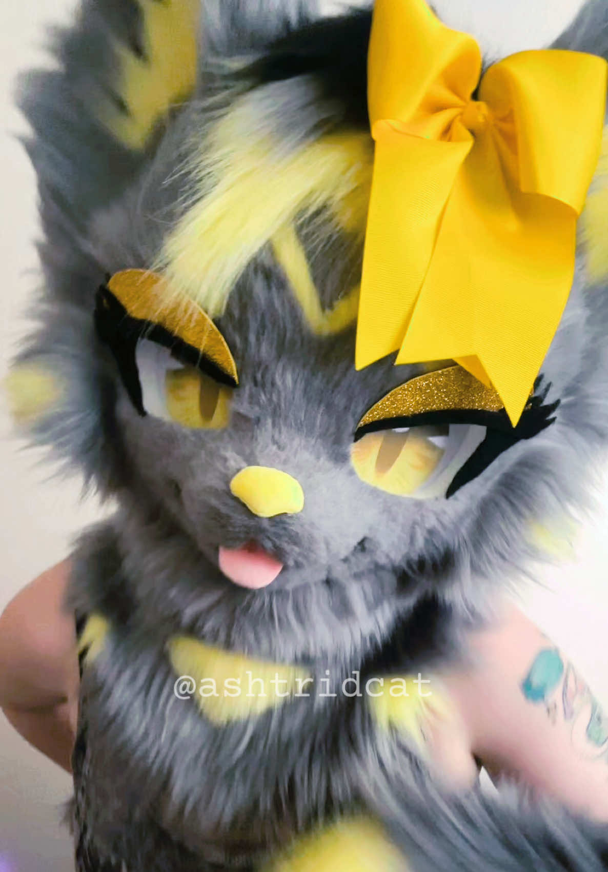 @AshtridCat