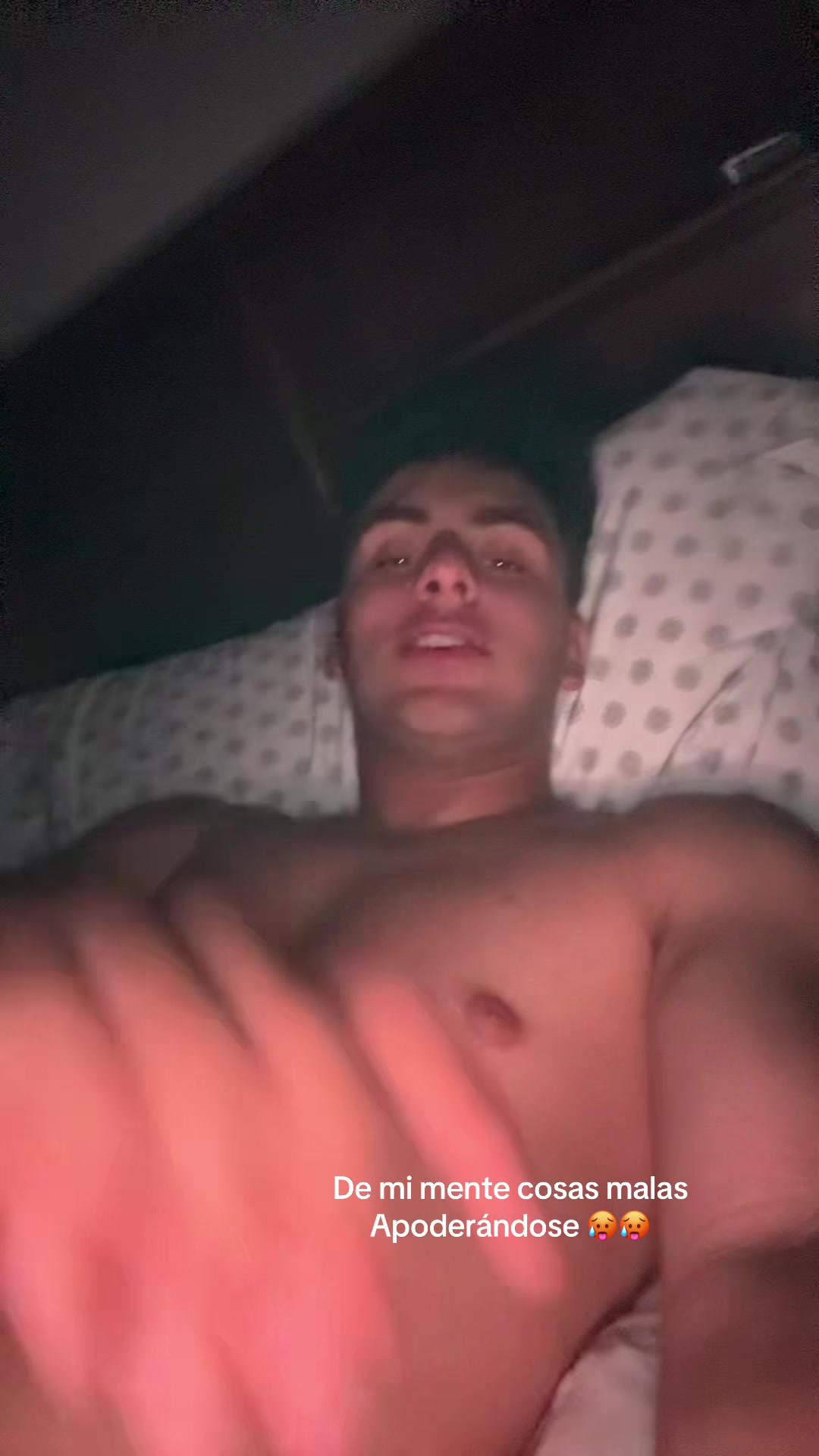@oficial_stewart