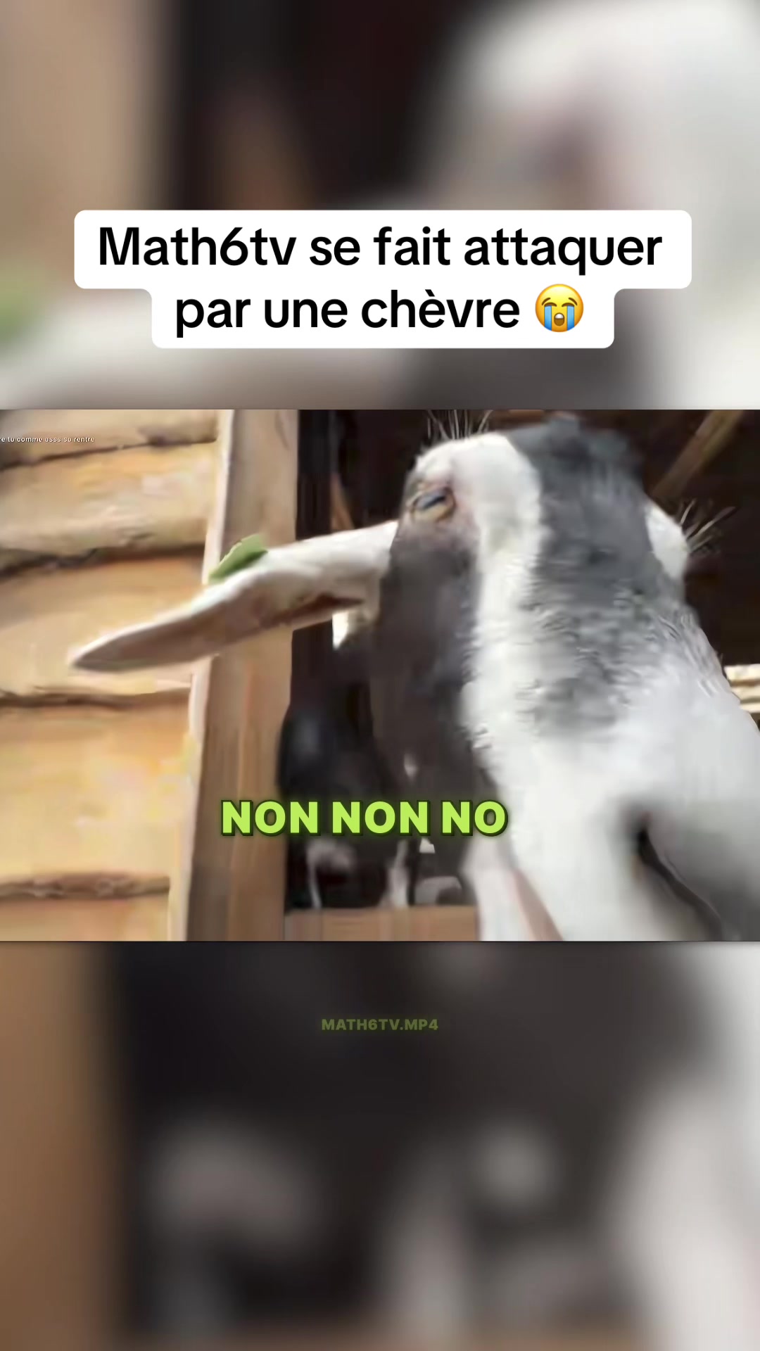 @Math6tv.mp4