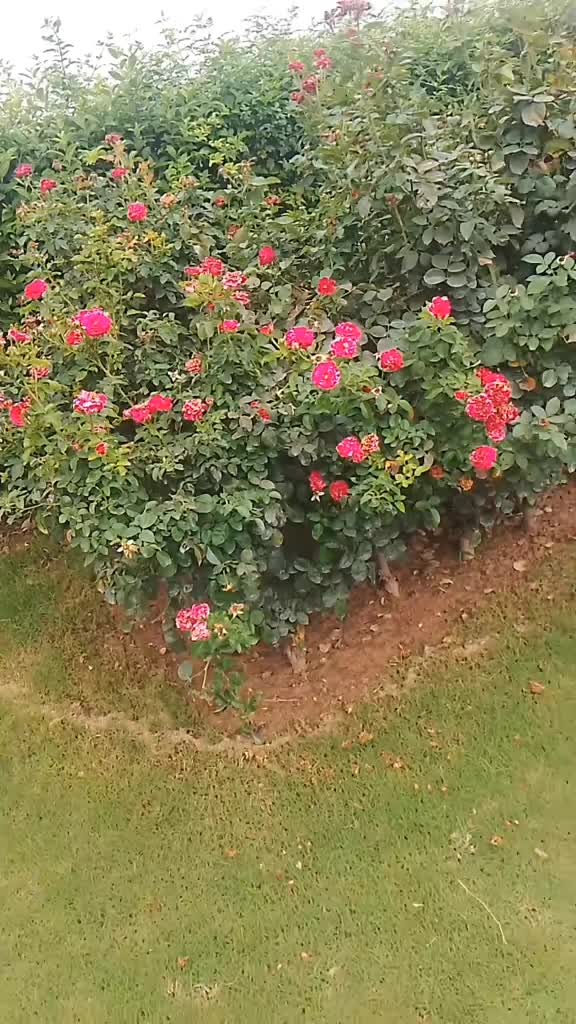 @ÇHÃTHÄ.007🇵🇰🇧🇭J