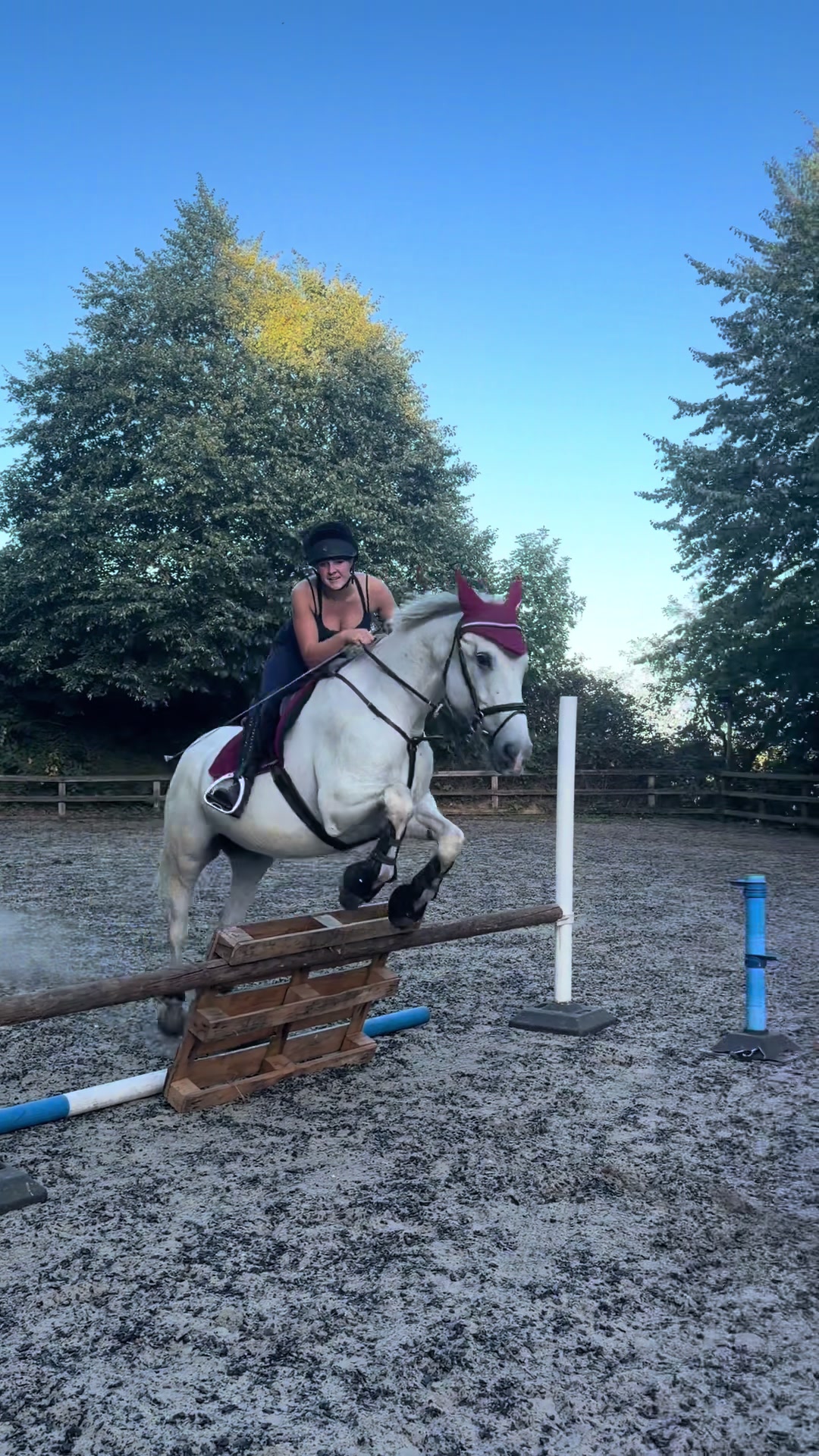 @Equ🐎:all the gear no idea🫶✌️