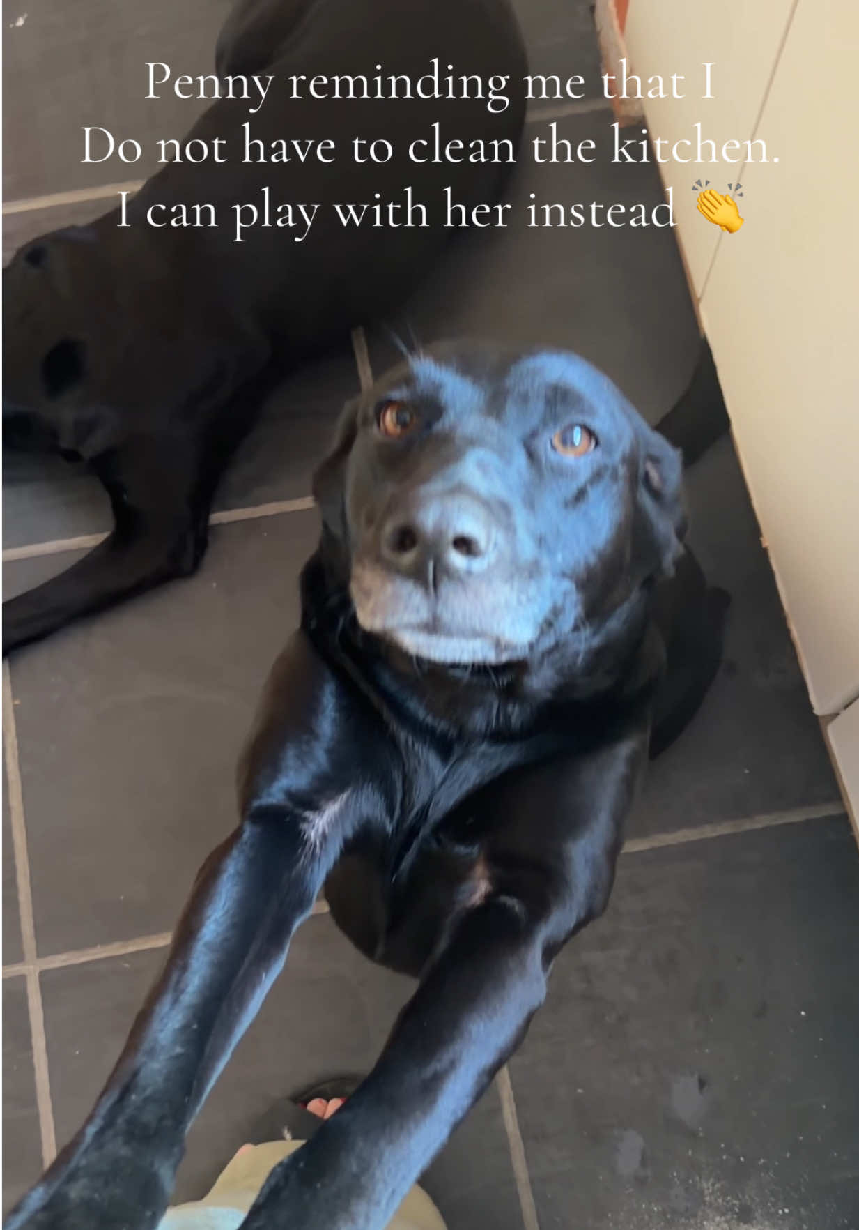 @Penny 🧡 Luna