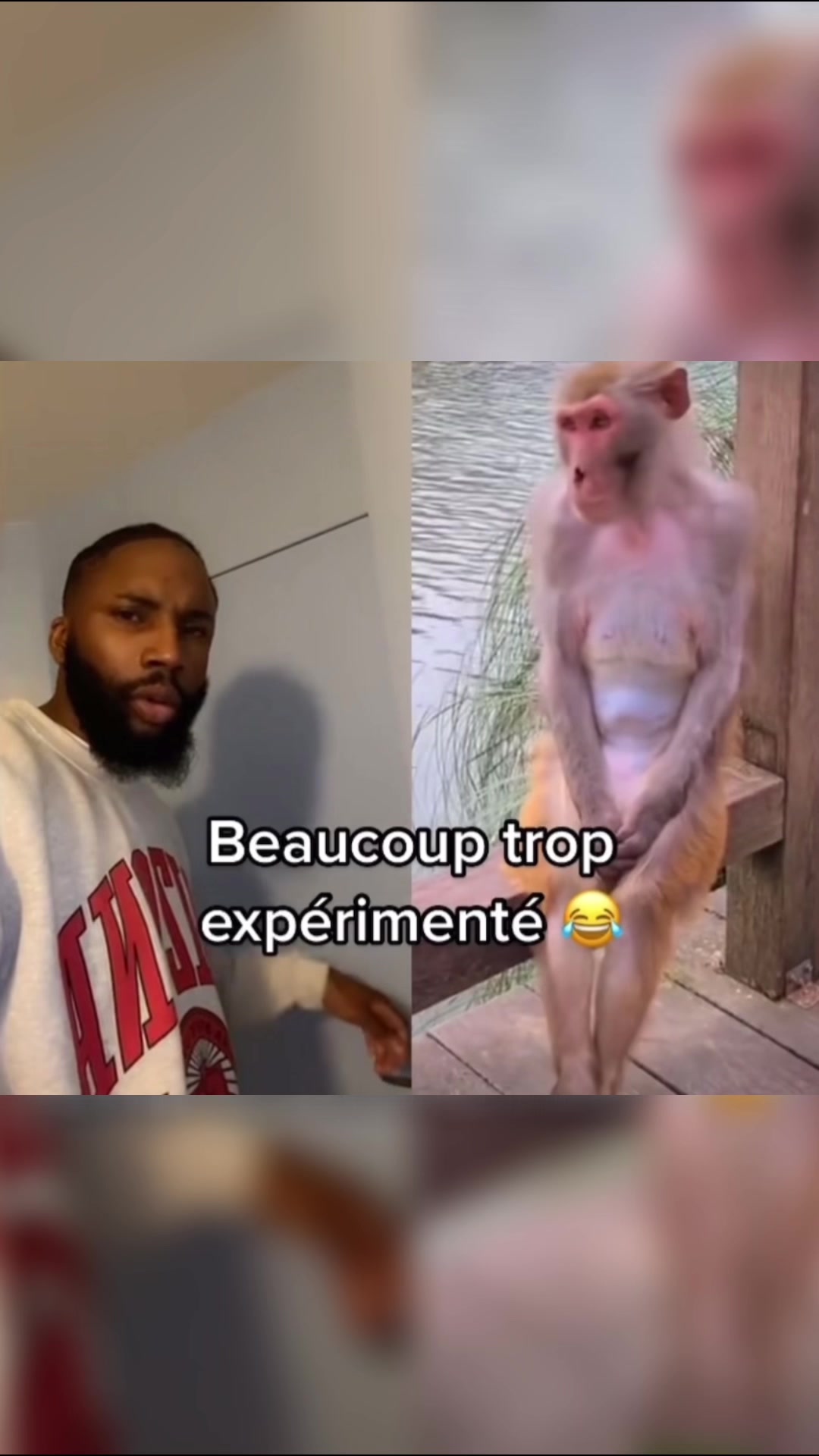 @vien_rire3