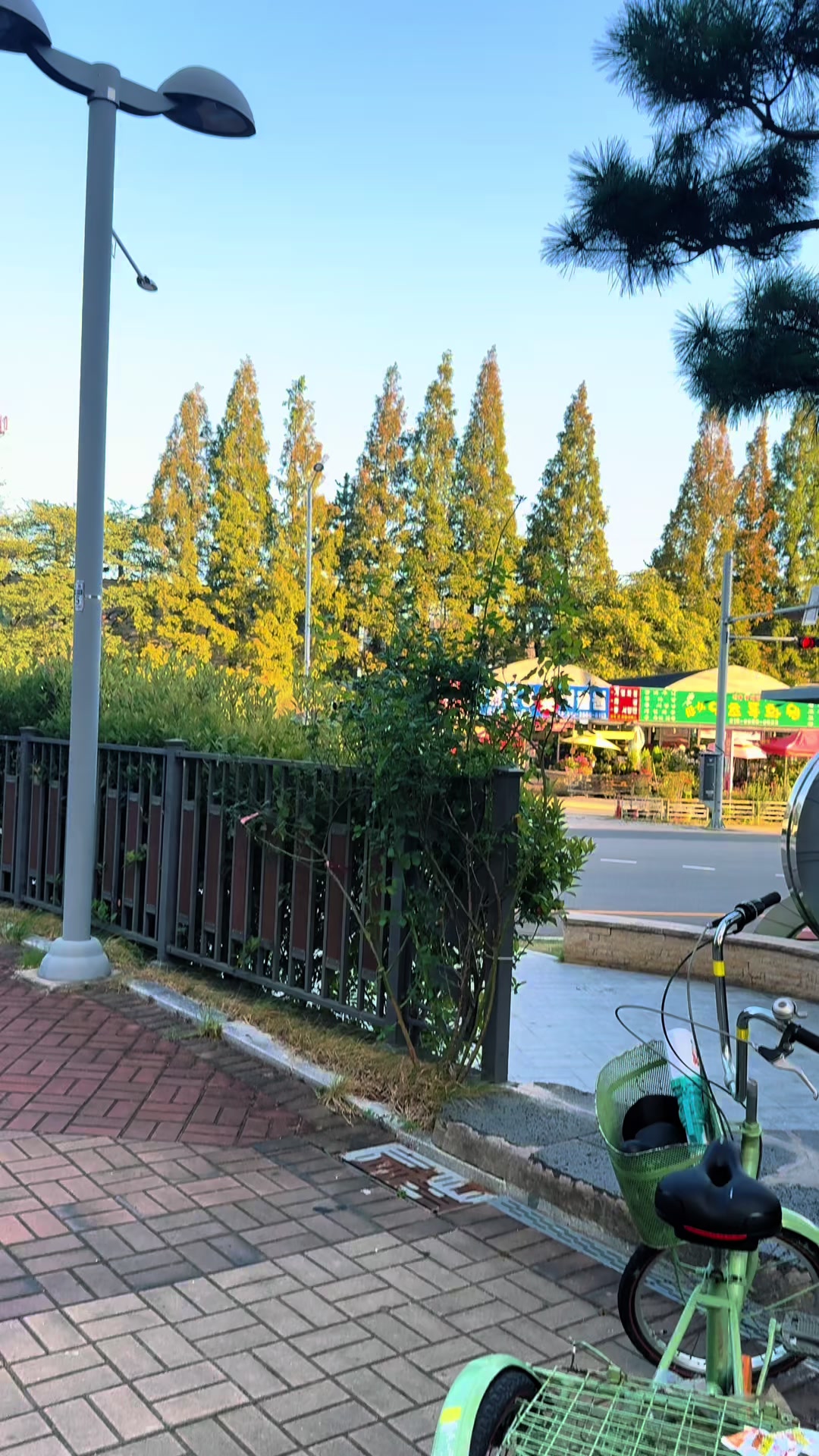 @𝘿𝙧𝙚𝙖𝙢𝙆𝙞𝙡𝙡𝙚𝙧🇰🇷