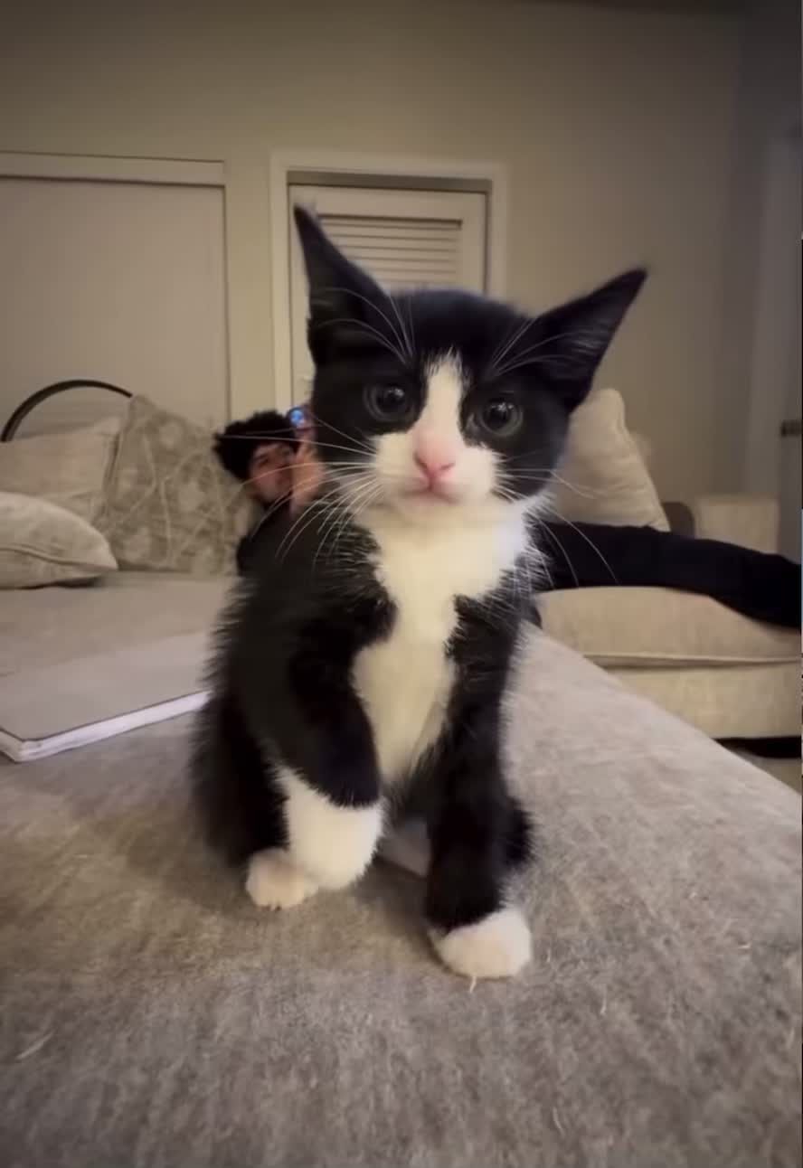 @Hairyballs445
