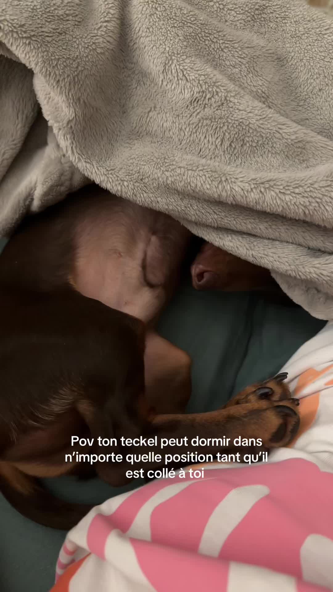 @Pauline Seassari Zuc