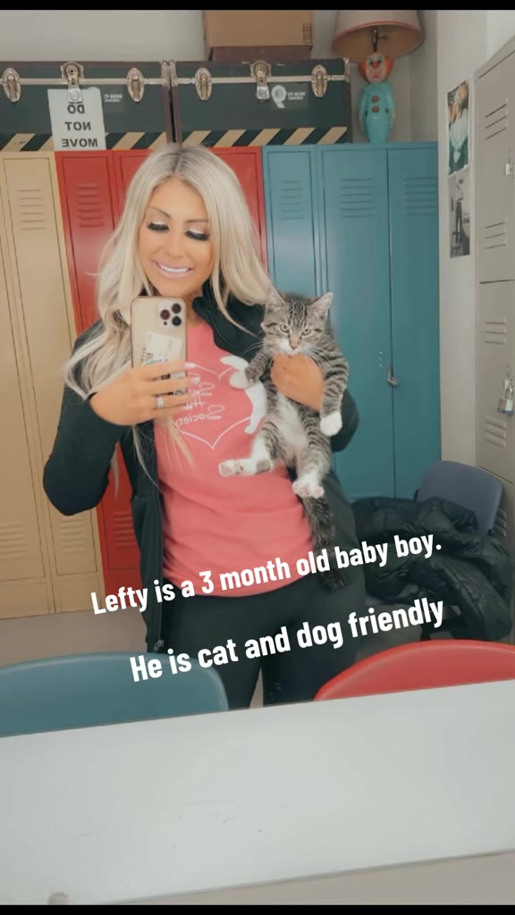 @Stachias•World👸🏼🐈🐕🦺♥️🐾