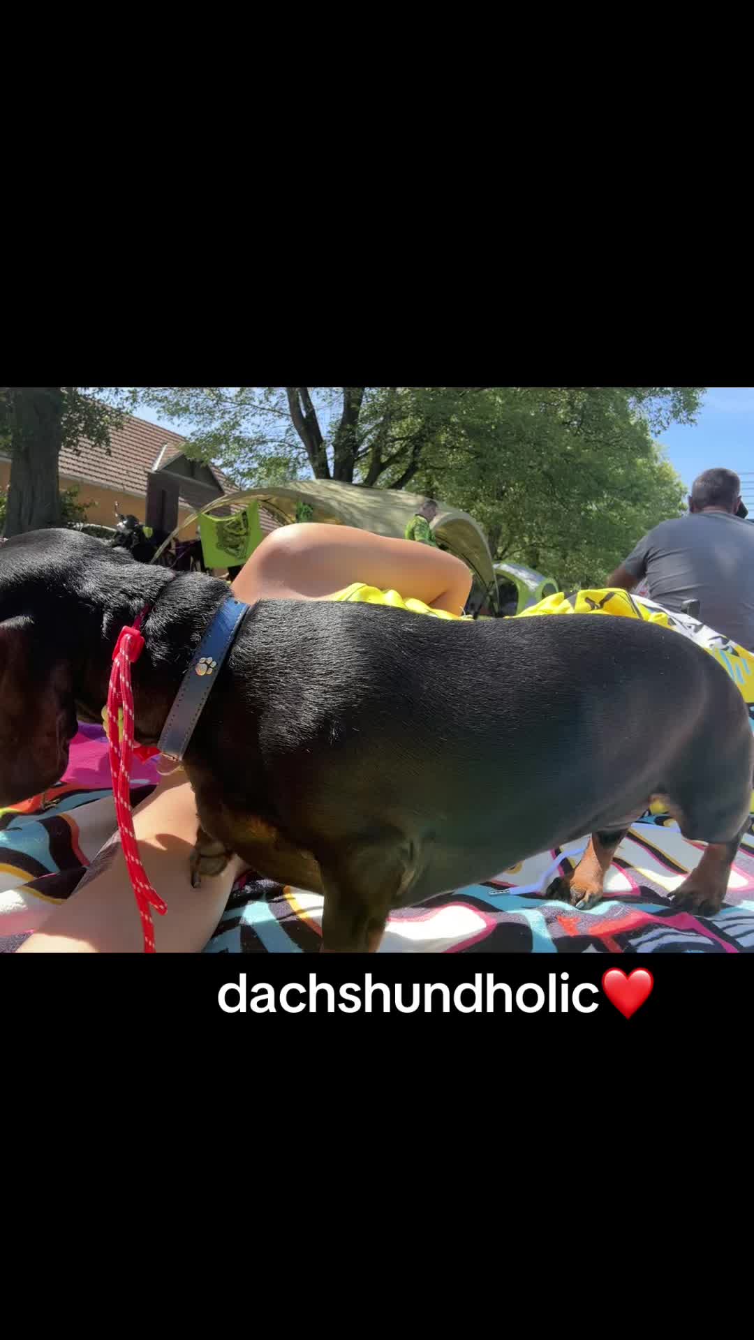 @Sajunnka
