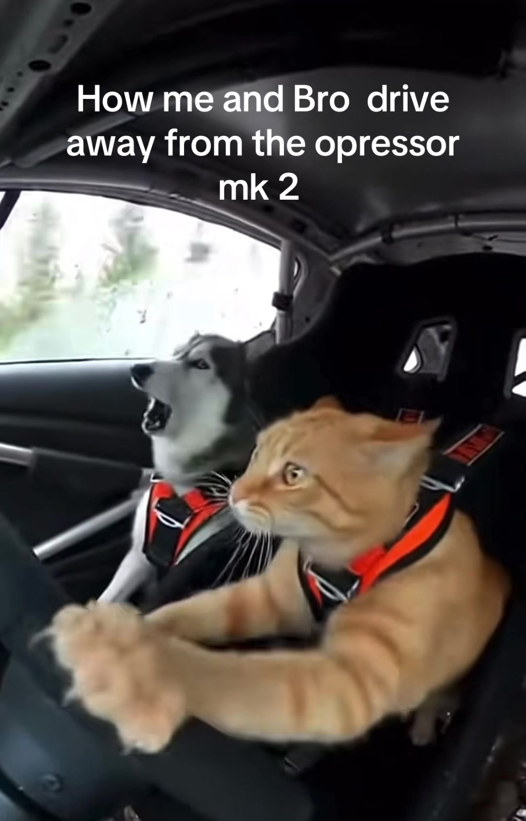 @GTA acc