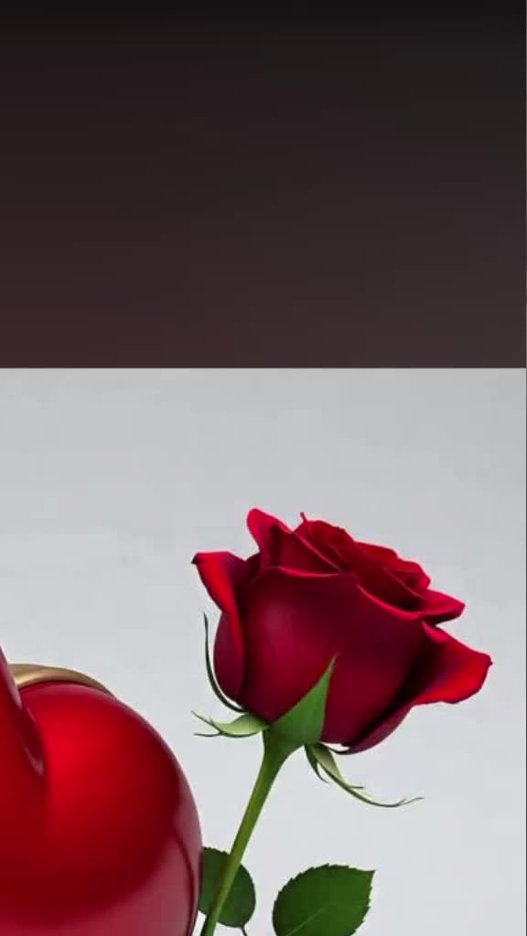 @Syed Imran 11483