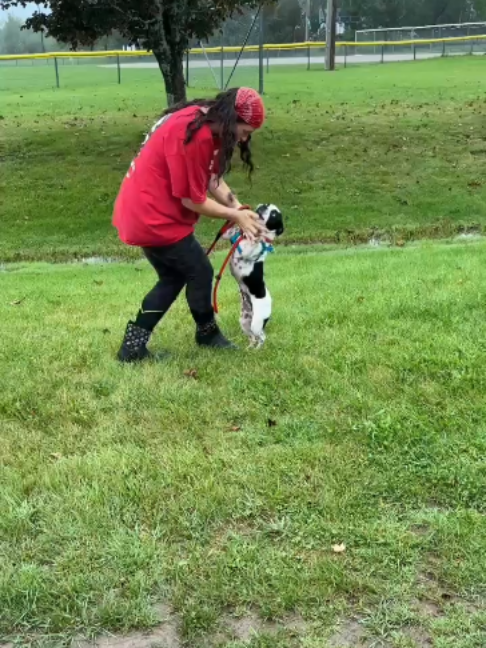 @Barking Mad Animal Refuge
