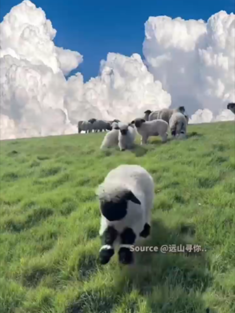 @TrendZ_CN