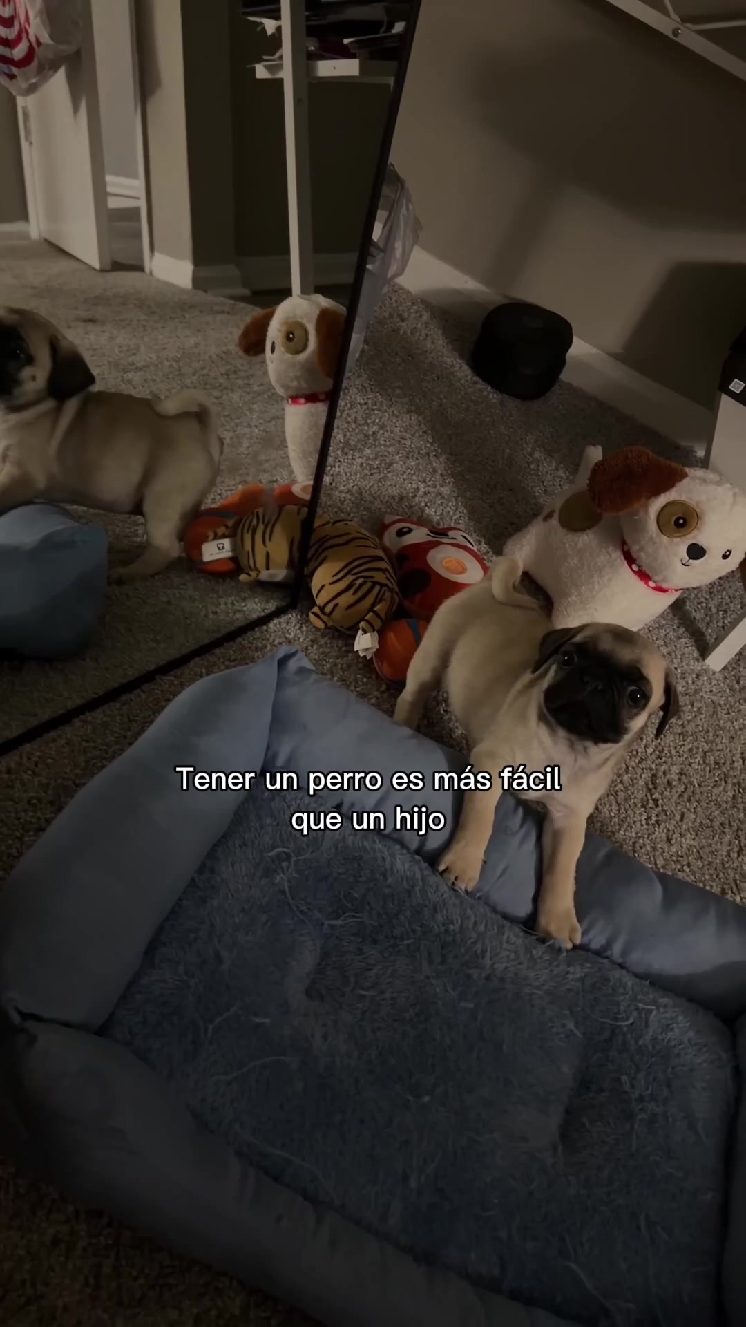 @Michelle Ortega