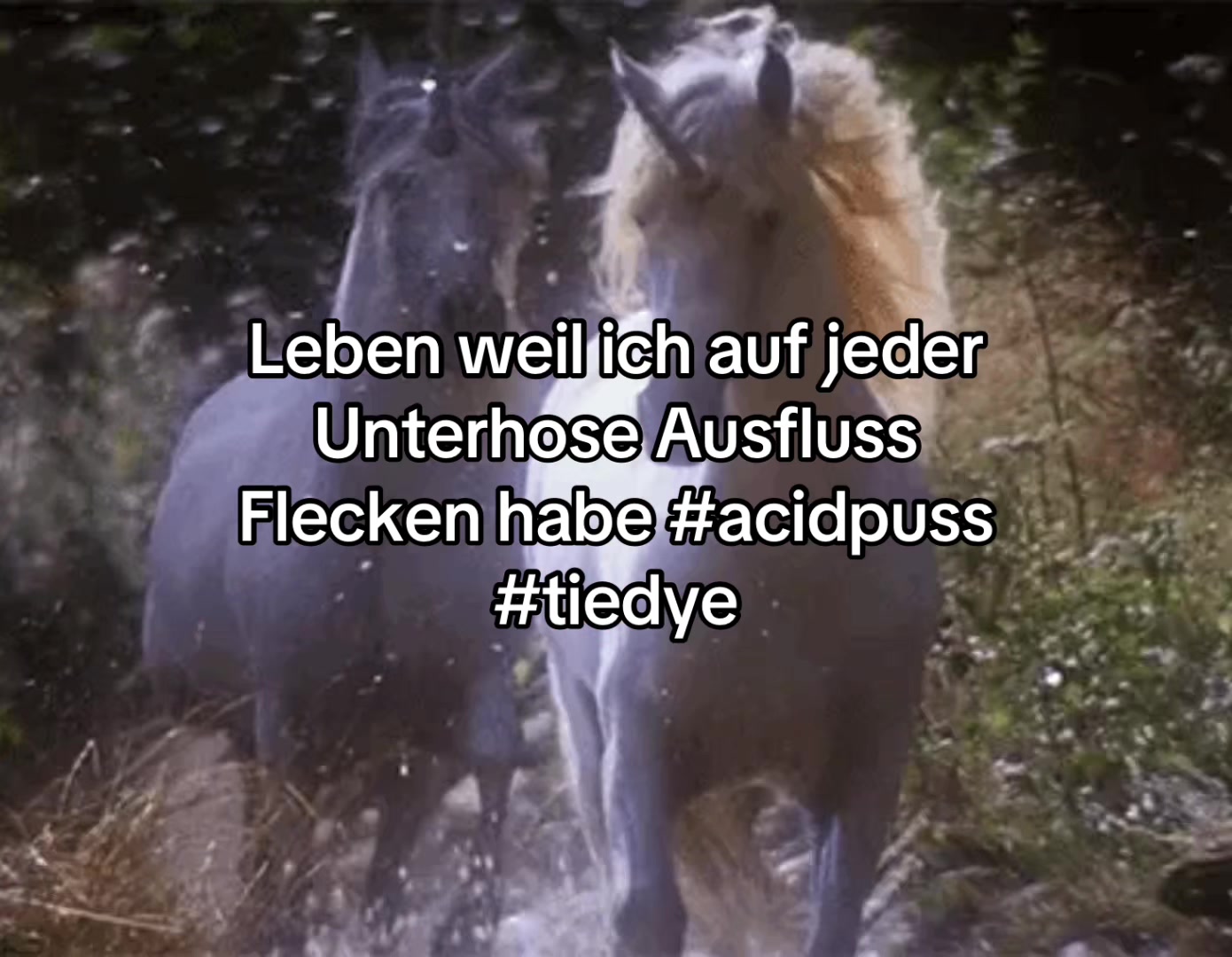 @mus1c_archive