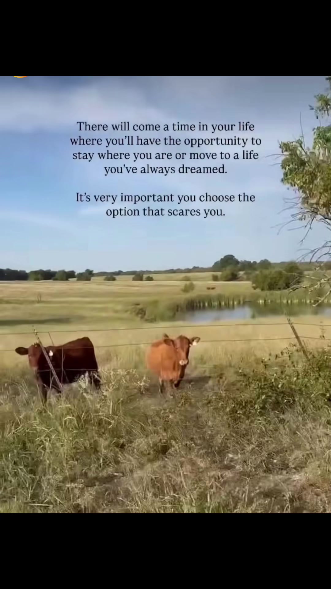 @bestlifetexas