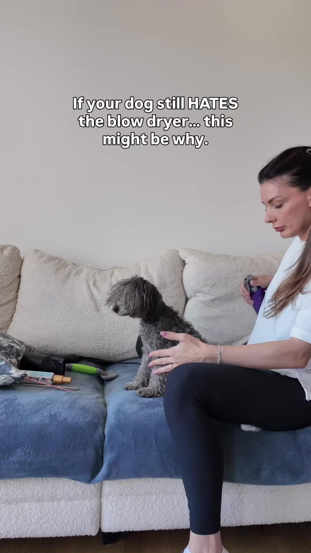 @Two & A Half Poodles | Dog Mom