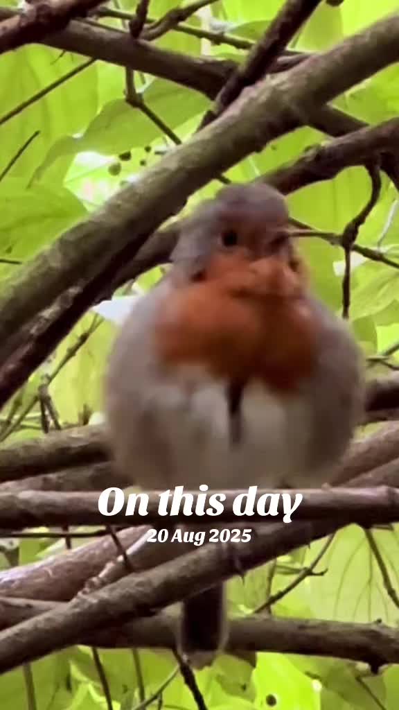 @flora_fauna_fur_feathers