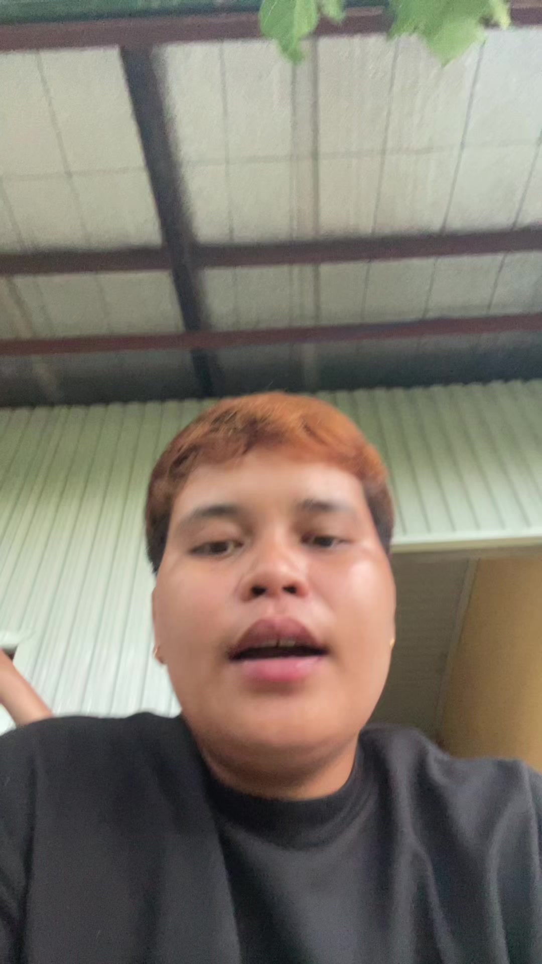 @KASAPOT 24