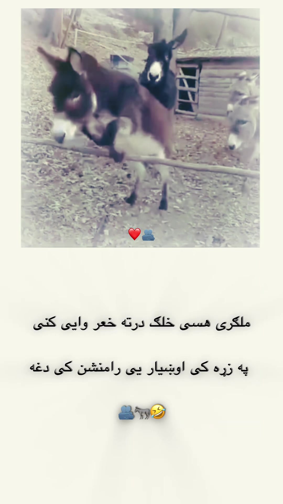 @ب͢ی͢ ر͢ح͢م͢ه͢ ق͢ا͢ض͢ی͢🦅☑