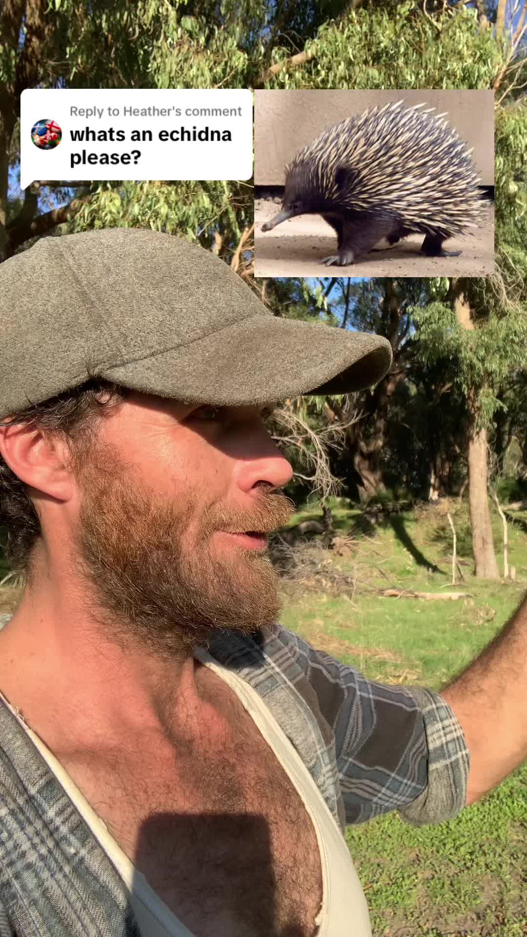 @Jimmy_Here🇦🇺