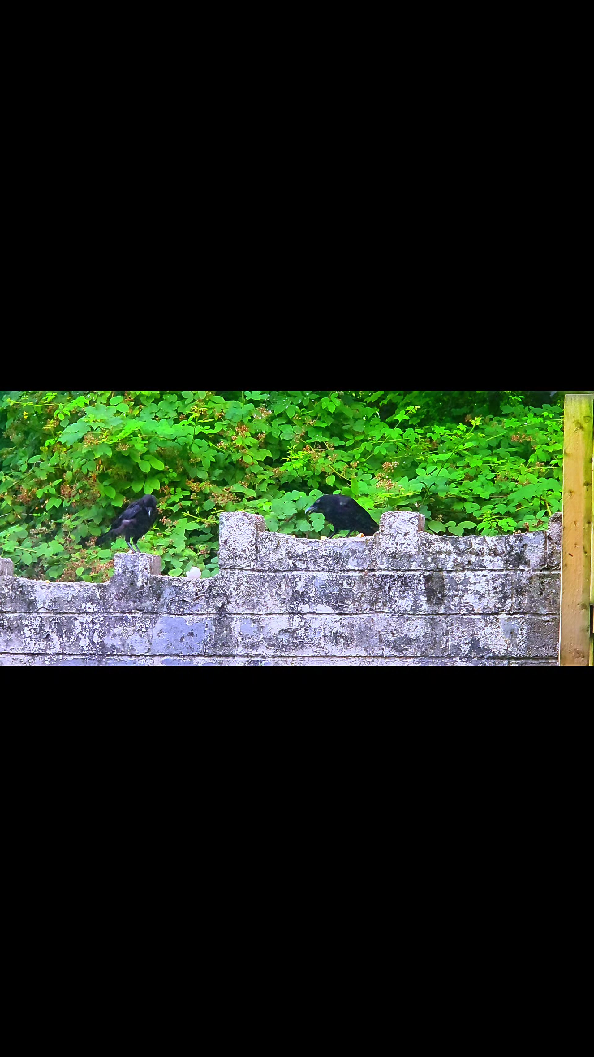 @Becca Cherry